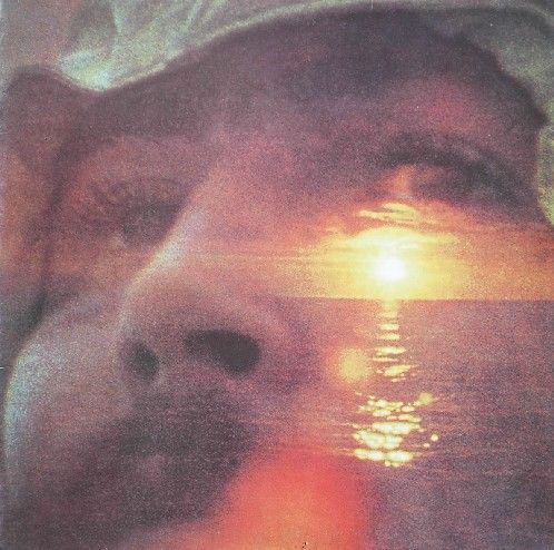 David Crosby - If I Could Only Remember My Name Vinyl