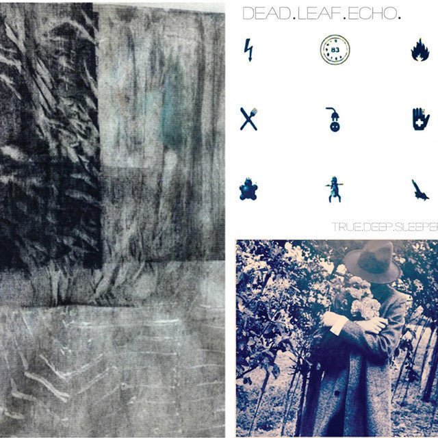 Dead Leaf Echo - True.Deep.Sleeper 10" Vinyl
