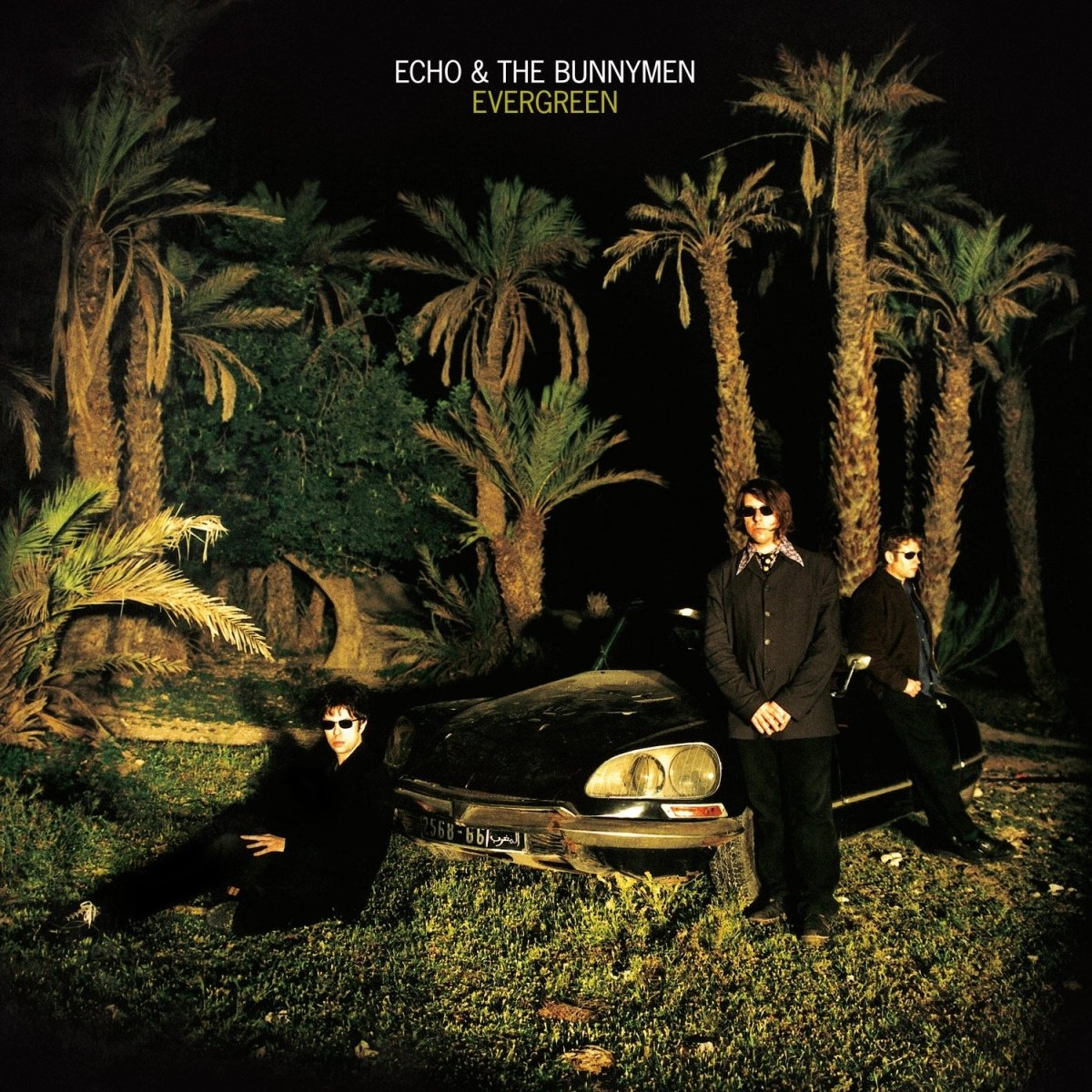 Echo & The Bunnymen - Evergreen Vinyl