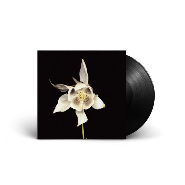 Fridge - Happiness Vinyl