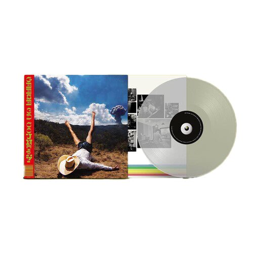 Geese - 3D Country Vinyl