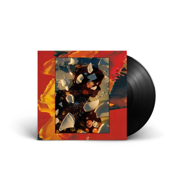 Hand Habits - Sugar The Bruise Vinyl