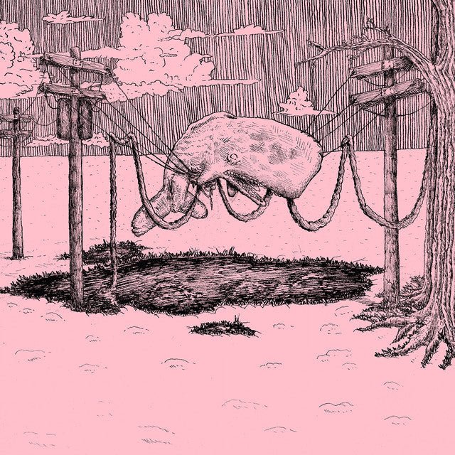 Home Is Where - The Whaler Vinyl