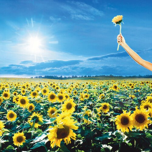 Stone Temple Pilots - Thank You Records & LPs Vinyl