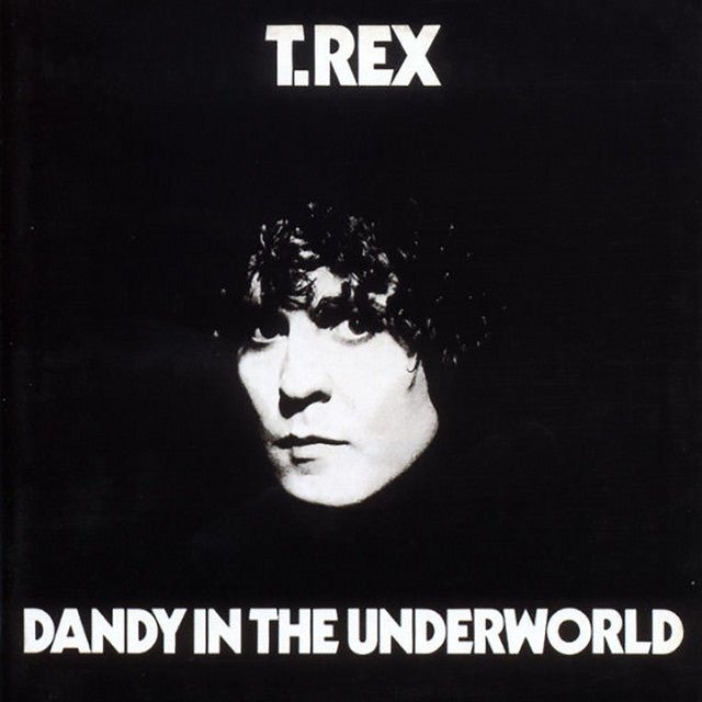 T. Rex - Dandy In The Underworld Records & LPs Vinyl