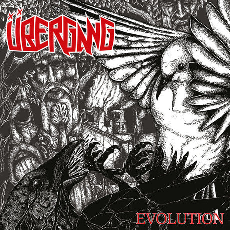 Übergang - Evolution