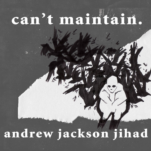 Andrew Jackson Jihad - Can’t Maintain. Vinyl