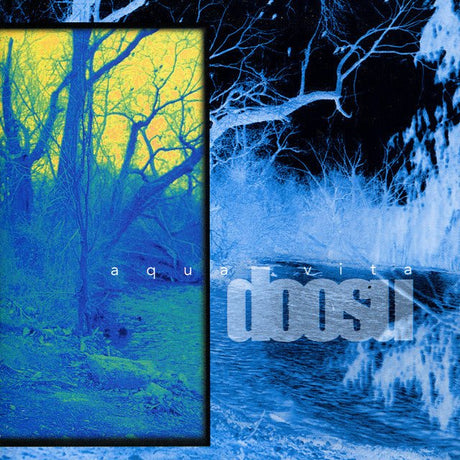 Doosu - Aqua Vita - Saint Marie Records