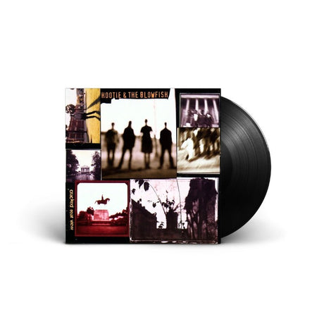 Hootie & The Blowfish - Cracked Rear View Vinyl