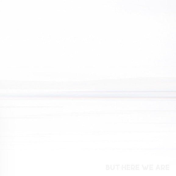 Foo Fighters - But Here We Are Vinyl
