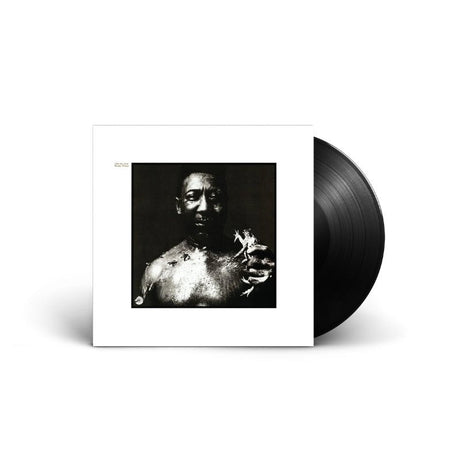 Muddy Waters - After The Rain Vinyl