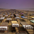 Pink Floyd - A Momentary Lapse Of Reason Vinyl