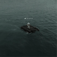 nf - Hope Vinyl