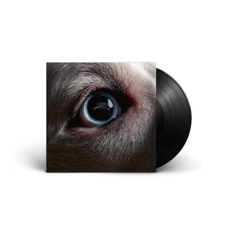 Roger Waters - The Dark Side Of The Moon Redux Vinyl