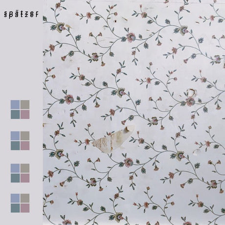 Spätzer - Dérive Vinyl