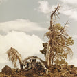 People Of The North - Steep Formations Vinyl
