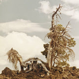 People Of The North - Steep Formations Vinyl