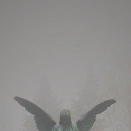 Jesu - Pity / Piety Vinyl