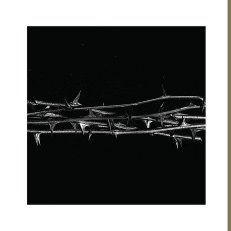 Amenra - De Doorn Vinyl