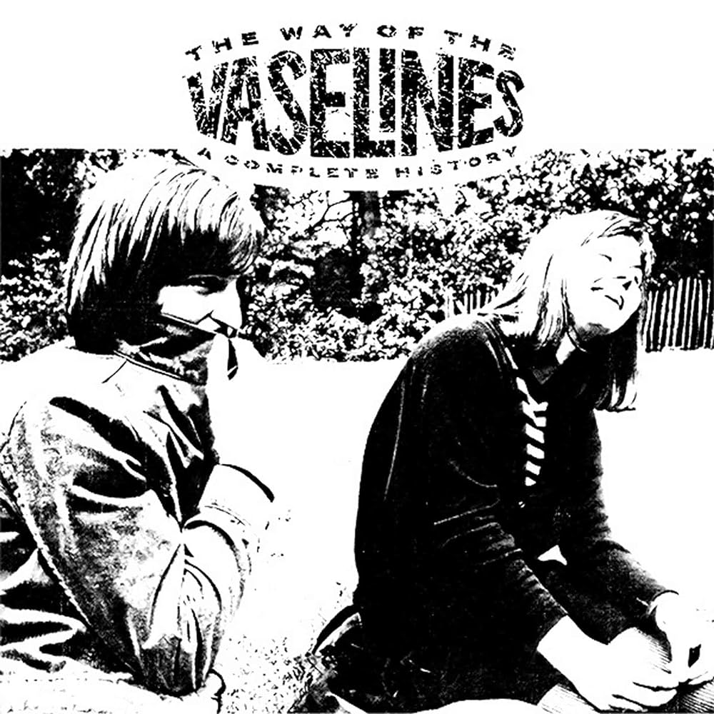 The Vaselines ‎– The Way Of The Vaselines - A Complete History – Disco  Death Records