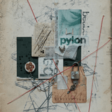 beabadoobee - Pylon oyster result 99
