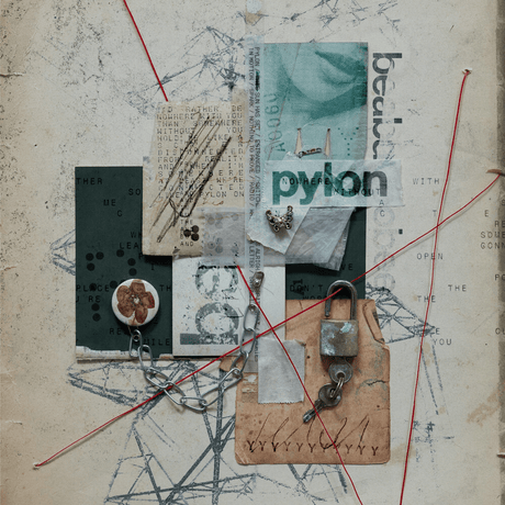 beabadoobee - Pylon oyster result 99