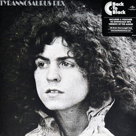 Tyrannosaurus Rex - A Beard Of Stars Records & LPs Vinyl