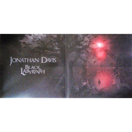 Jonathan Davis - Black Labyrinth Vinyl