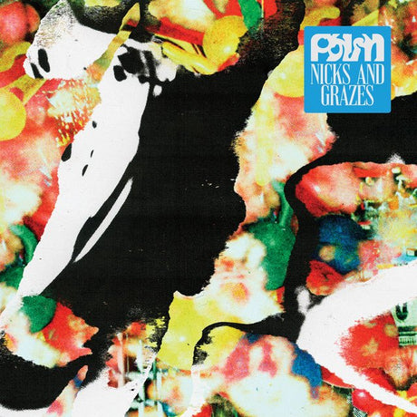 Palm - Nicks and Grazes Vinyl