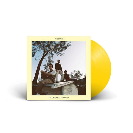 Wallows - Tell Me That It's Over Vinyl
