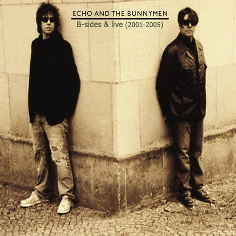 Echo And The Bunnymen - B-sides & Live Records & LPs Vinyl