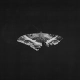 Kendrick Lamar - To Pimp A Butterfly