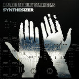 A Place To Bury Strangers - Synthesizer Vinyl Vinyl
