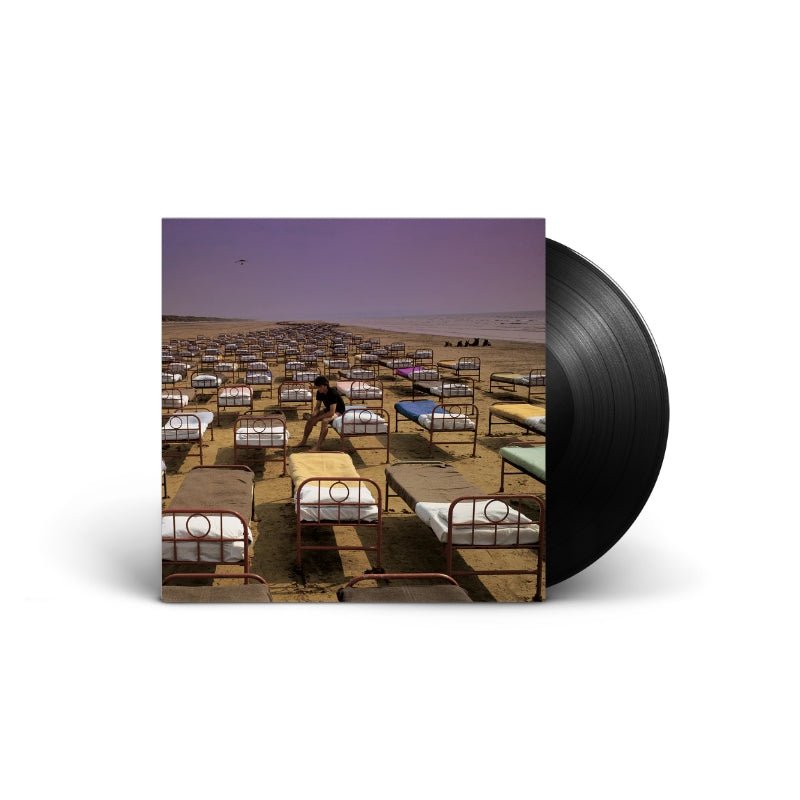 Pink Floyd - A Momentary Lapse Of Reason Vinyl