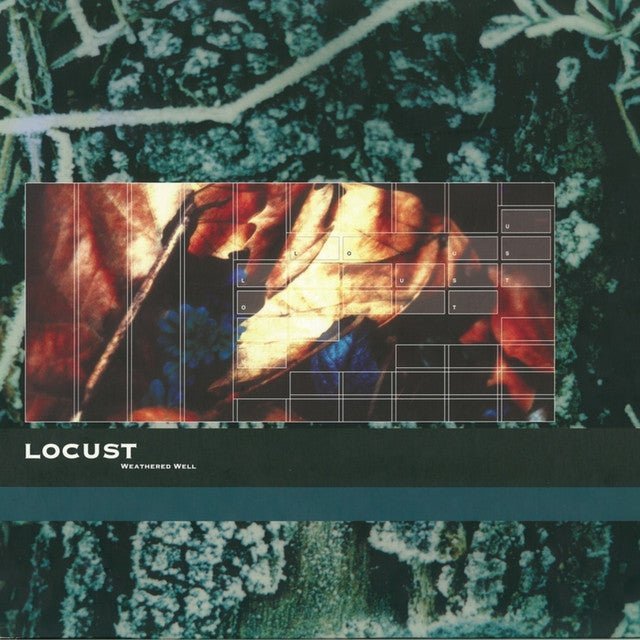 Locust - Weathered Well Music CDs Vinyl