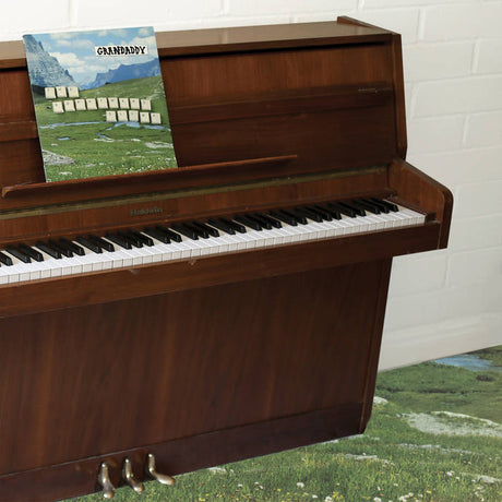 The Sophtware Slump ..... on a wooden piano | Grandaddy | Grandaddy / Jason  Lytle