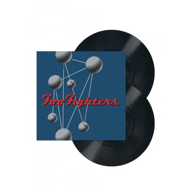 Foo Fighters - The Colour And The Shape Vinyl