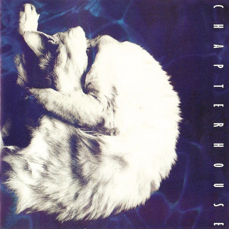 Chapterhouse - Whirlpool Music CDs Vinyl