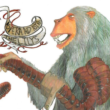 The Lilys / Aspera Ad Astra - The Lilys/Aspera Ad Astra - Saint Marie Records