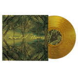 Band Of Horses - Everything All The Time Vinyl Vinyl