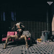 Bebe Rexha - Dirty Blonde Vinyl Vinyl