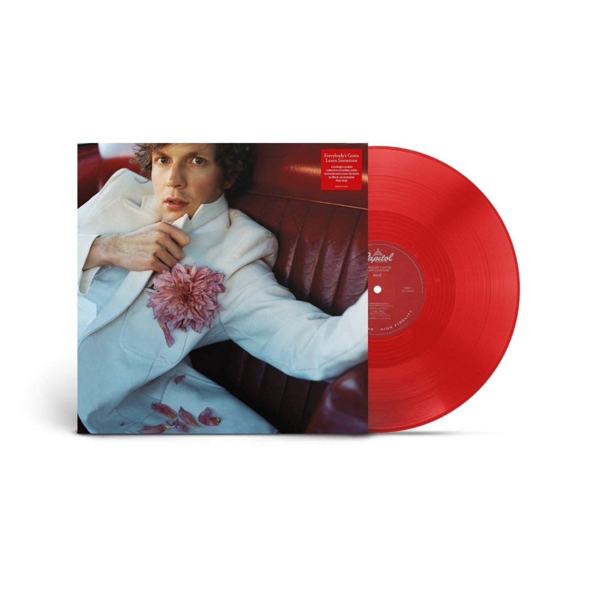 Beck - Everybody's Gotta Gotta Learn Sometime Vinyl Vinyl