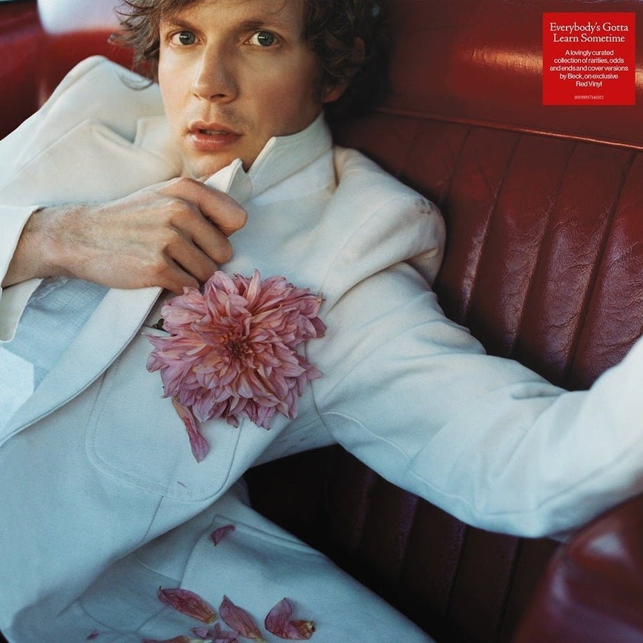 Beck - Everybody's Gotta Gotta Learn Sometime Vinyl Vinyl