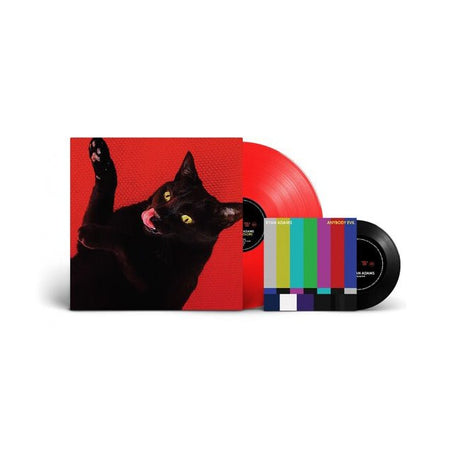 Ryan Adams - Big Colors 7" Vinyl