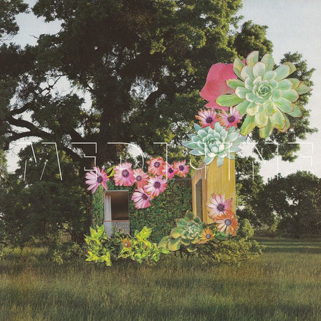 Medicine - Home Everywhere Vinyl