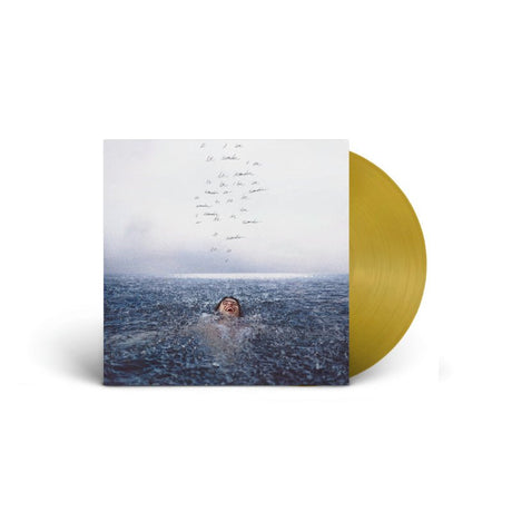 Shawn Mendes - Wonder Vinyl