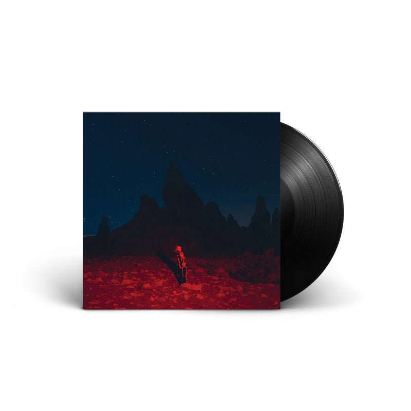Phoebe Bridgers - Punisher Vinyl