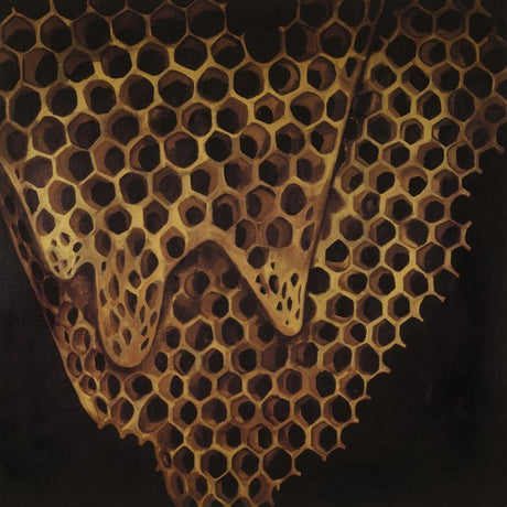 Telefon Tel Aviv - Map Of What Is Effortless Music CDs Vinyl