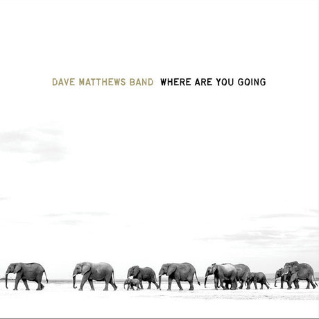 Dave Matthews Band - Where Are You Going: The Singles Vinyl Vinyl