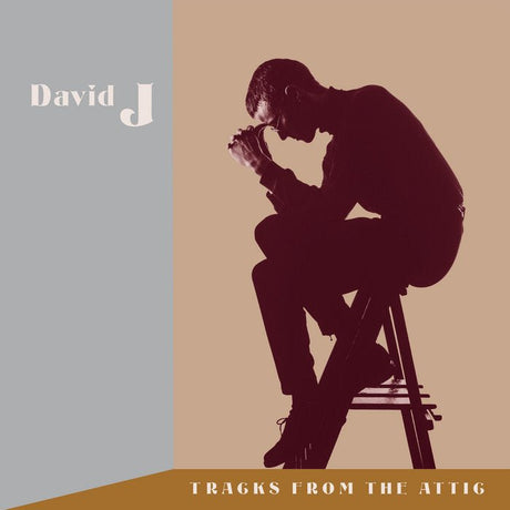 David J - Tracks From The Attic CD Vinyl